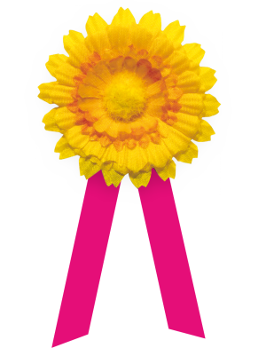 Český den proti rakovině 1